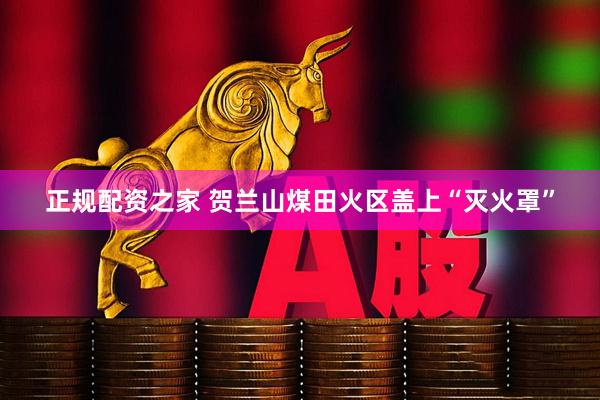 正规配资之家 贺兰山煤田火区盖上“灭火罩”
