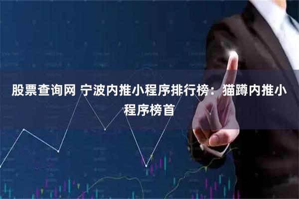 股票查询网 宁波内推小程序排行榜：猫蹲内推小程序榜首