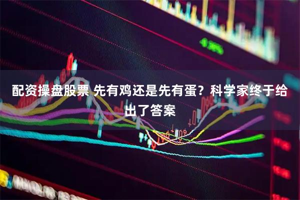 配资操盘股票 先有鸡还是先有蛋？科学家终于给出了答案