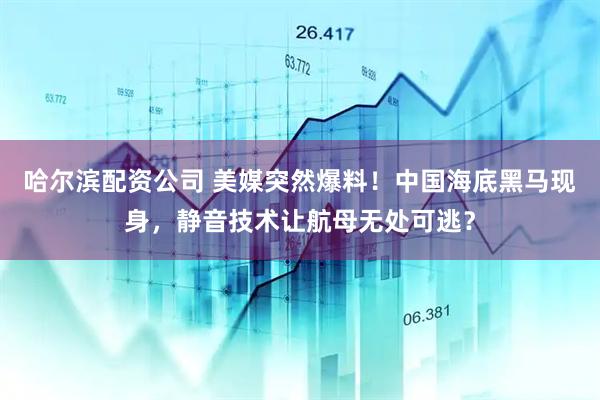 哈尔滨配资公司 美媒突然爆料！中国海底黑马现身，静音技术让航母无处可逃？
