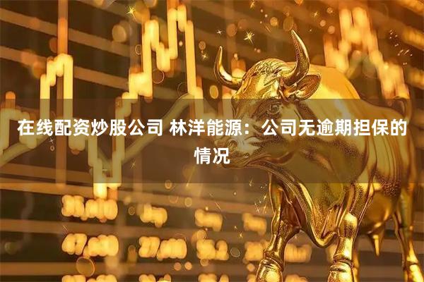 在线配资炒股公司 林洋能源：公司无逾期担保的情况